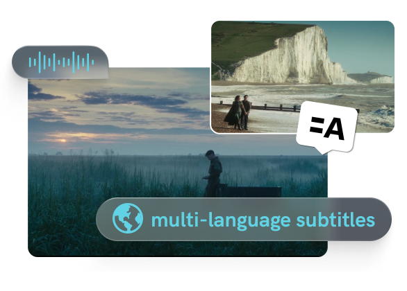 download audio subtitle