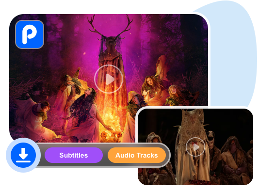 download audio subtitle