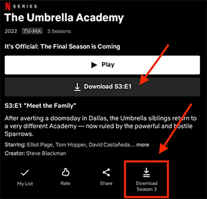 download option in netflix app