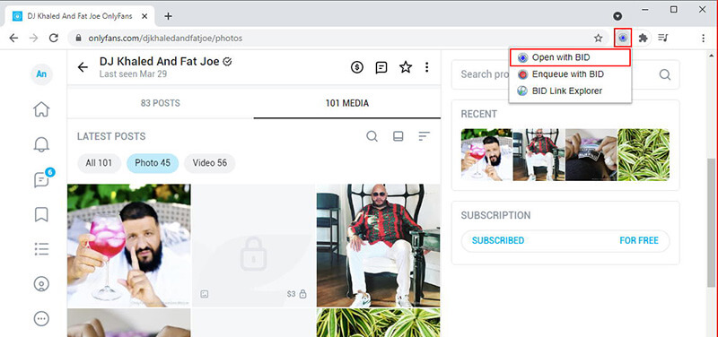 Bulk Image Downloader