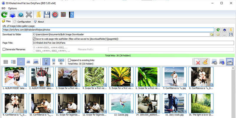 Bulk Image Downloader