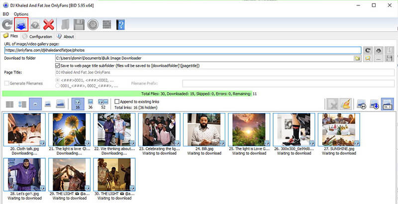 Bulk Image Downloader