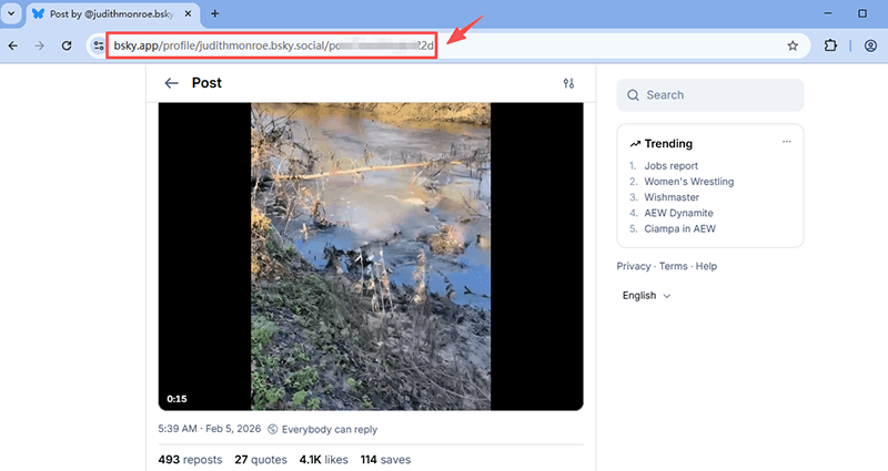 Bsky-Video-URL kopieren