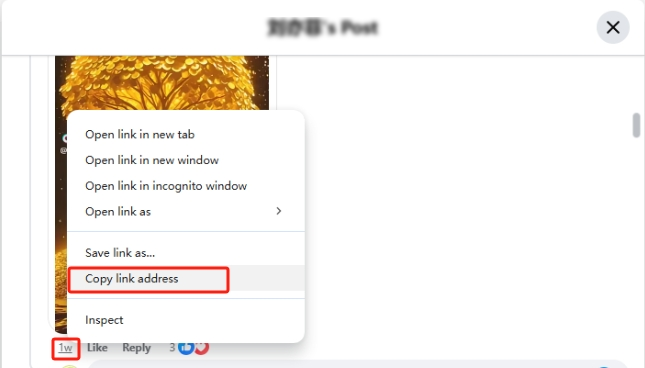 copy facebook comment video link