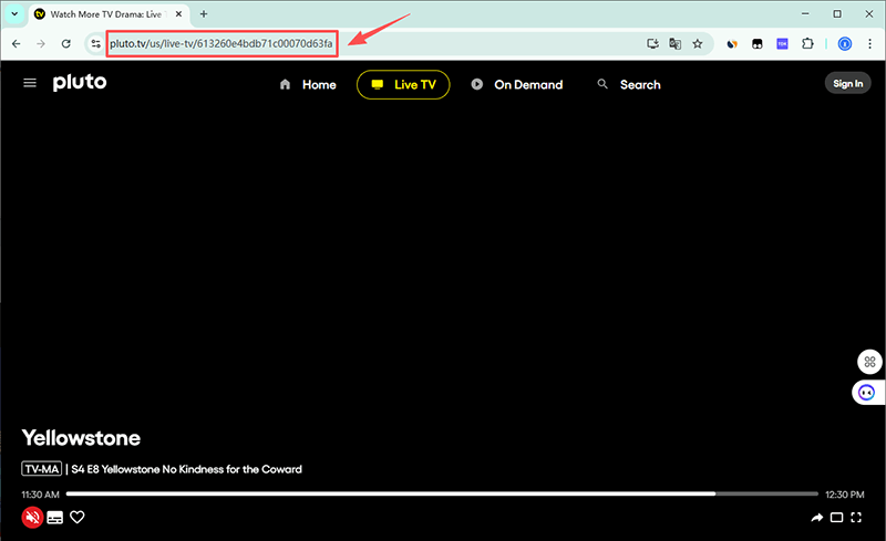 Pluto Video URL kopieren