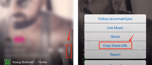 copy triller video url on app