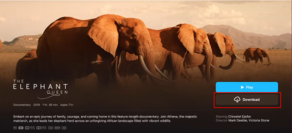 apple tv映画をダウンロード