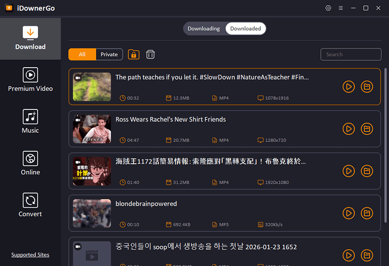 Bluesky-Video herunterladen