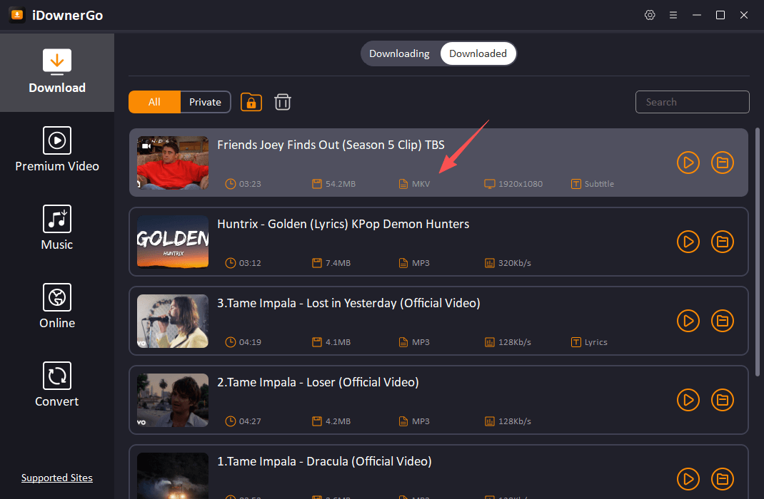 MKV-Film herunterladen