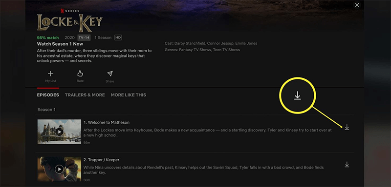 download netflix video mac browser
