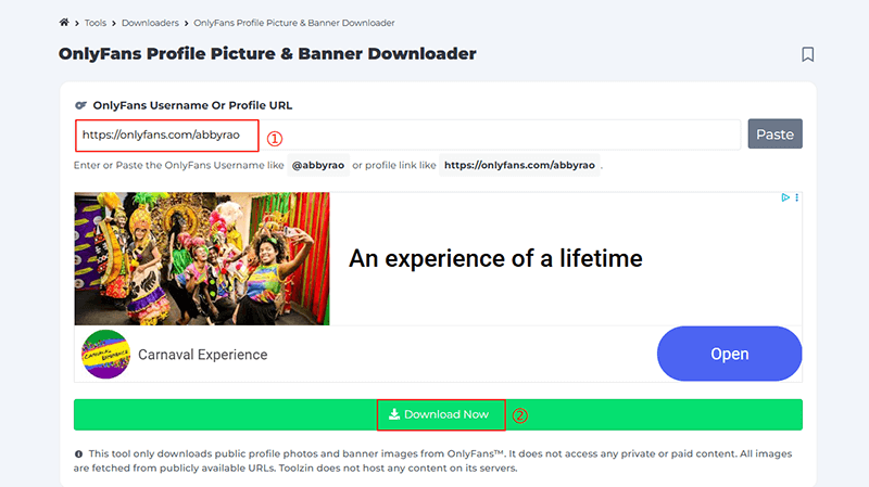 OnlyFans-Bilder online herunterladen