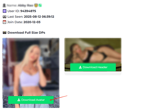 OnlyFans-Bilder online herunterladen