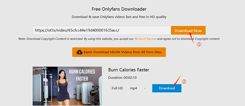onlyfan download site