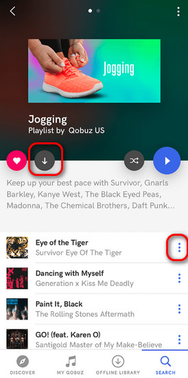 download qobuz music directly