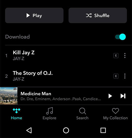 download tidal album