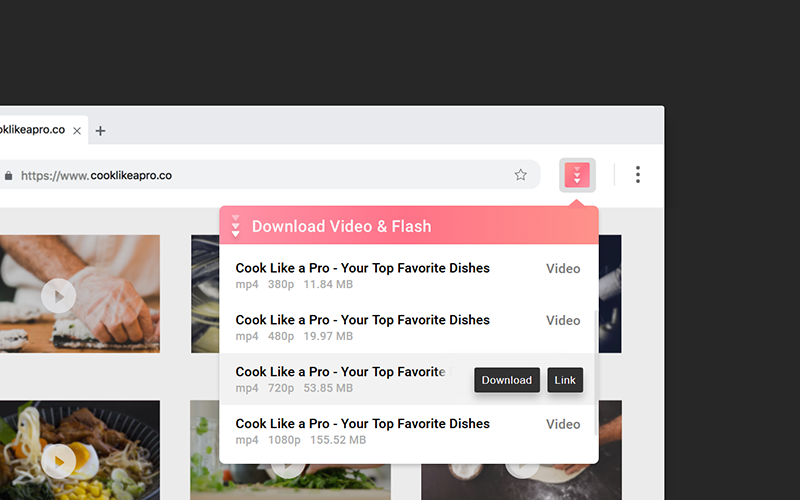 download video and flash