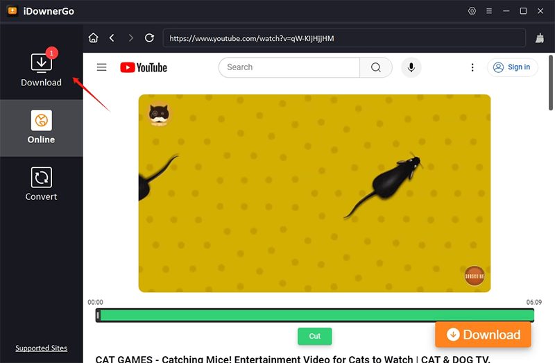 download video online