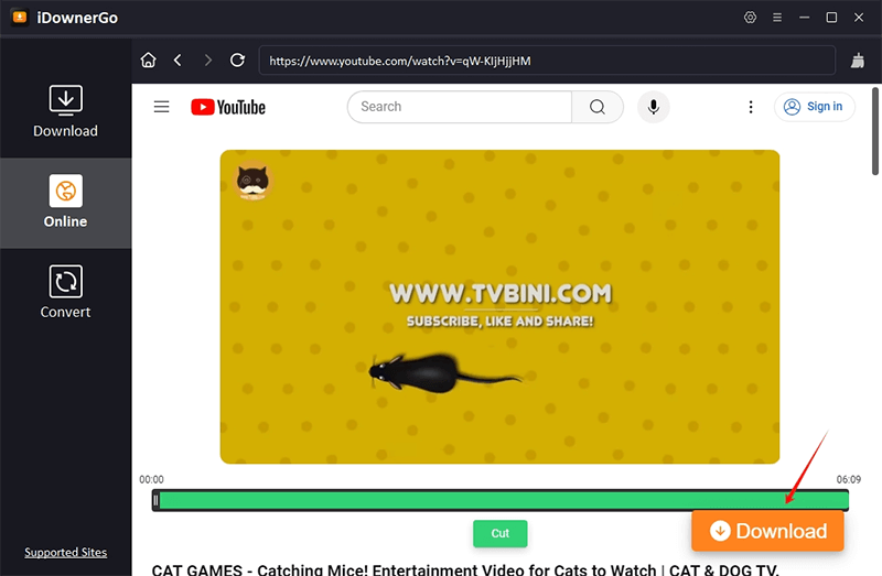 download video online