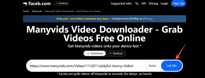 faceb manyvids video downloader