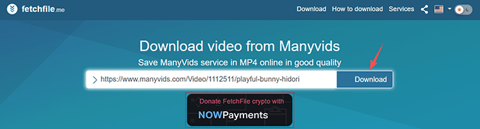 fetchfile manyvids downloader