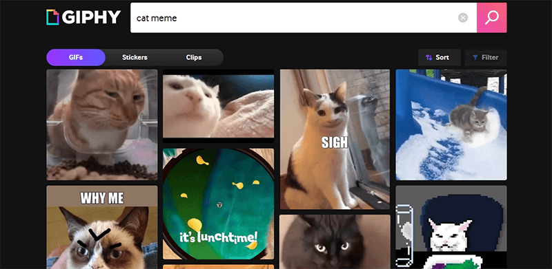 giphy katzen memes
