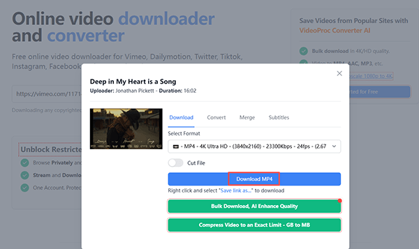 how to use savethevideo