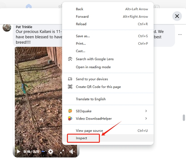 inspect facebook comment