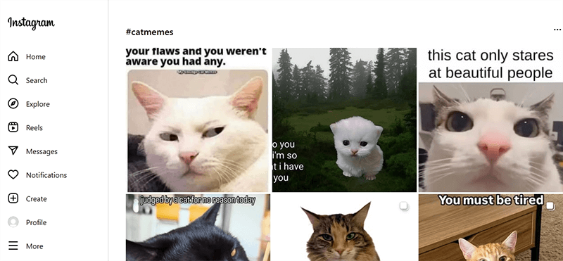 instagram katzen memes