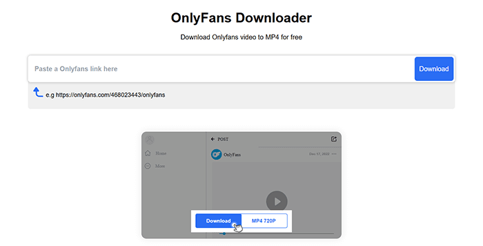 iViGo OnlyFans Downloader