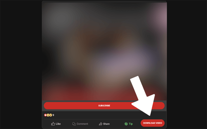loyalfans downloader