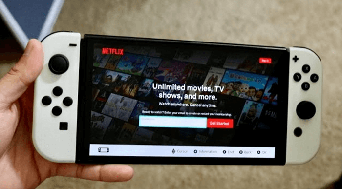 netflix on switch