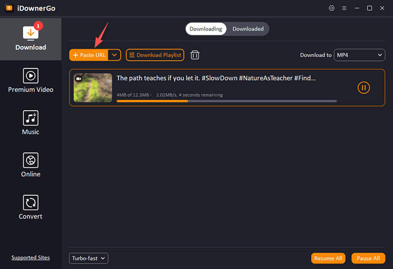 Bluesky-Video-URL einfügen