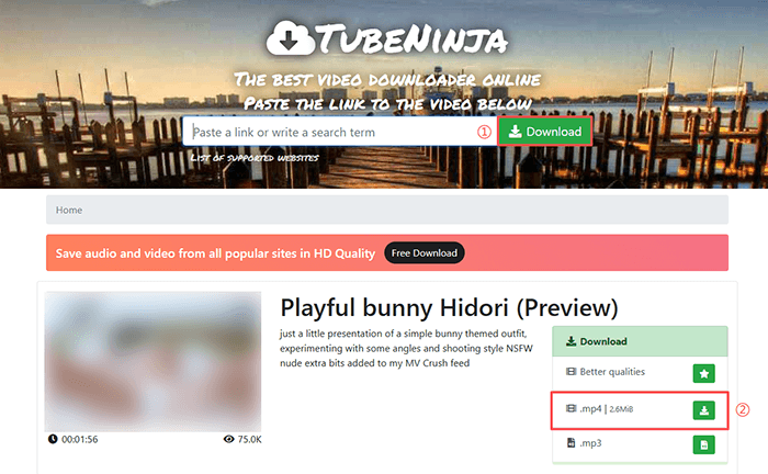 tubeninja manyvids video downloader