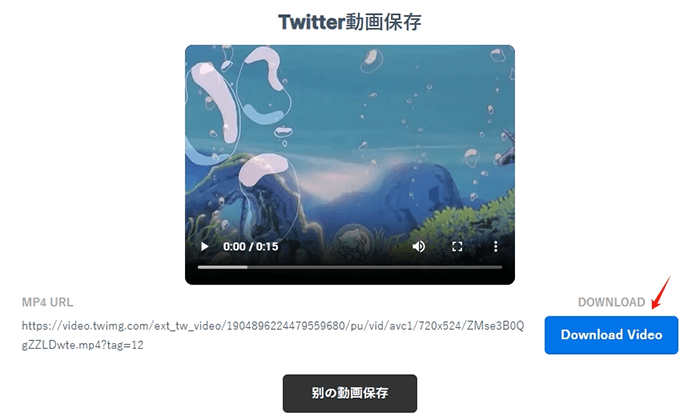 Twitter動画保存サイト