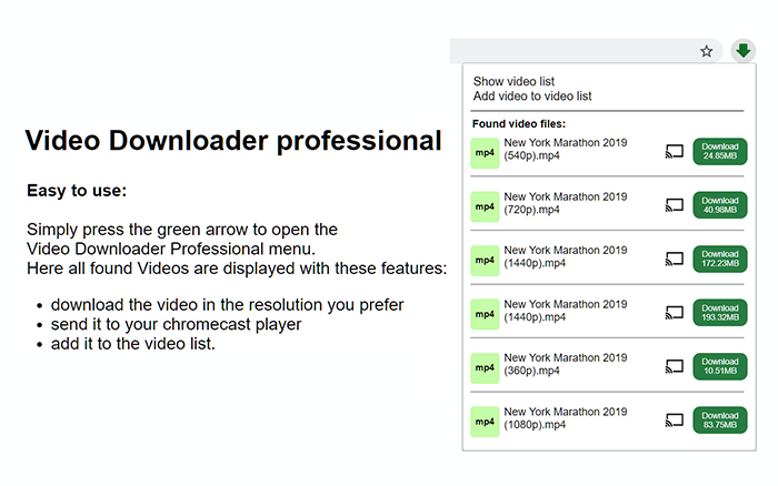 video downloader professional