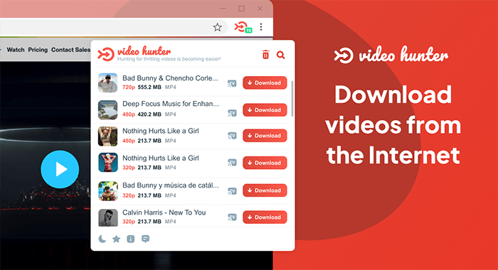 video hunter downloader