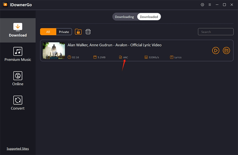 youtube to aac idownergo