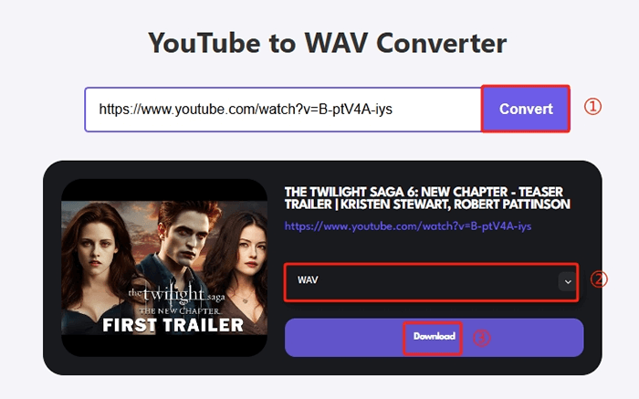 YouTube to WAV Converter